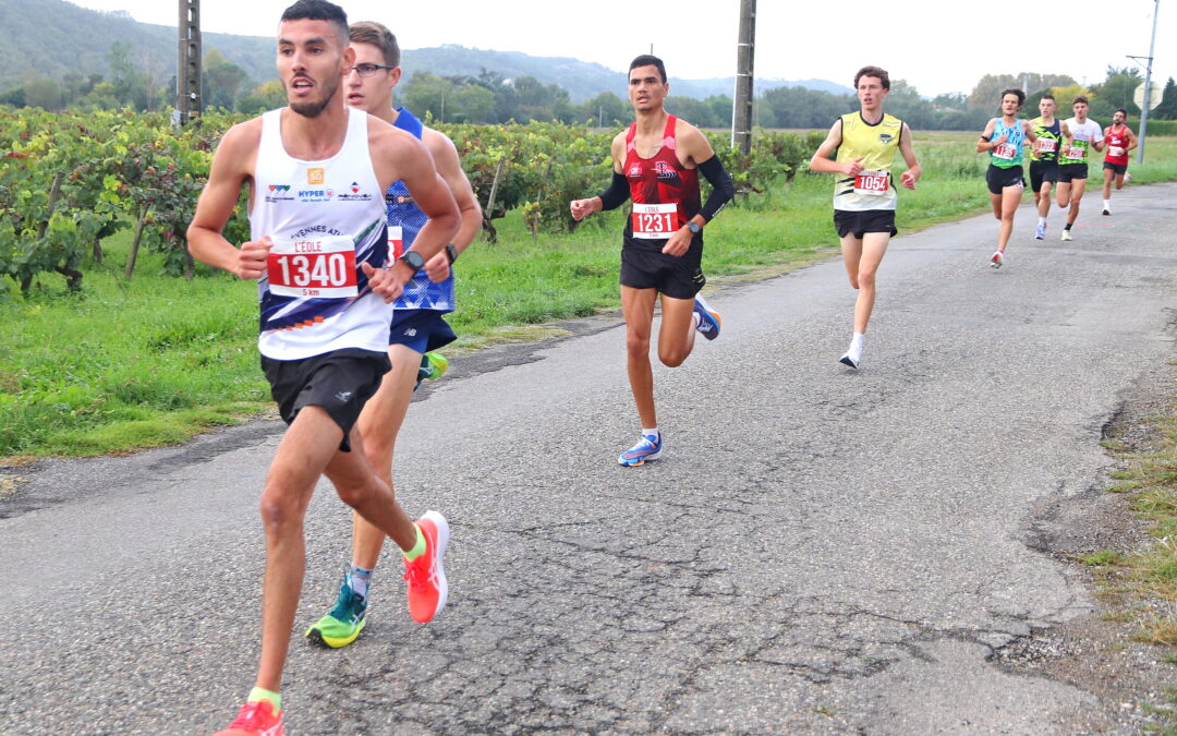 5km de Muret